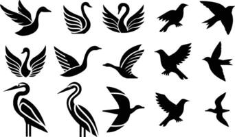 Various birds and birds silhouettes vector