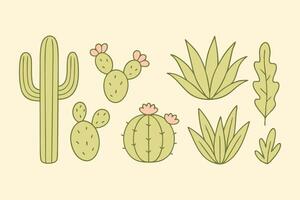 Set of cute cactus and desert plant illustrations in flat cartoon style vector