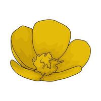 fresh yellow flower vector