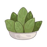 vegetables for diet vector