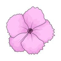 illustration of fresh pink flower vector