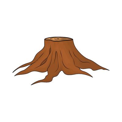 tree roots illustration