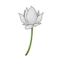fresh white flower vector