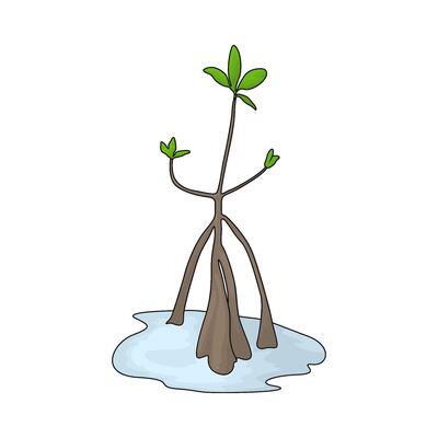 illustration of a tree