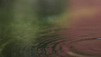 Water droplets creating concentric ripples on a reflective surface video
