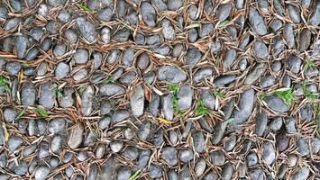 Nature's mosaic of stones and leaves creating a serene pathway in an outdoor garden setting photo