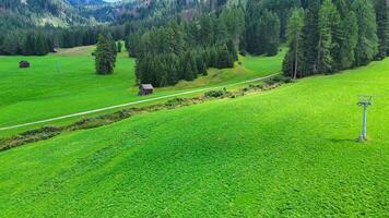 Lush green landscape with a winding path and rustic cabins under a clear sky in the heart of nature during a serene afternoon photo