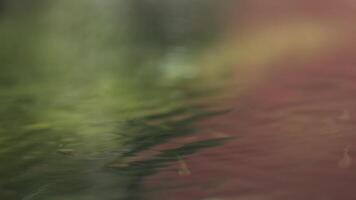 Raindrops falling on water surface creating ripples video
