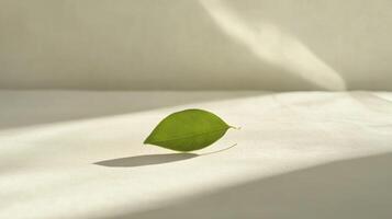 Bright sunlight highlighting vibrant green leaf lying on pristine white surface, creating sharp shadow enhancing minimalist aesthetic and visual depth photo
