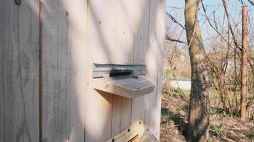 A wooden structure featuring a mail slot surrounded by trees and greenery. Perfect for nature and architecture themes. video