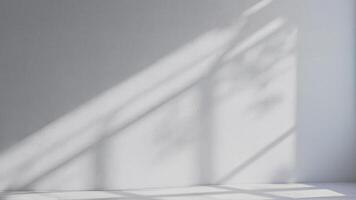Soft Abstract Shadow On white Wall photo