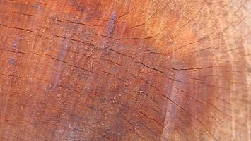 A close up of a wooden surface with a brown stain photo