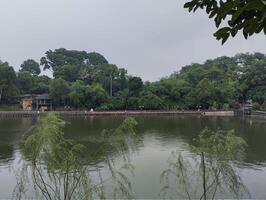 A lake with a bridge and trees in the background photo