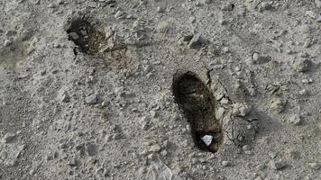 Footprints in the Dirt A detailed view reveals two distinct footprints imprinted on a textured, earthy surface, suggesting a journey or passage. photo