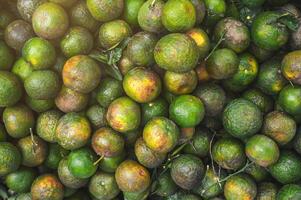background with green oranges. Tropical fresh ripe fruits on the counter in the market close-up photo