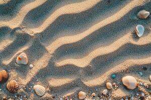 abstract sand ripples on the beach top view with border frame of different small sea shells with copy space photo