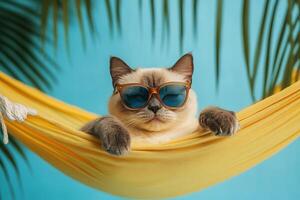 funny humorous image of adorable joyful cat in sunglasses lying in yellow hammock on blue background with green palm tropical leaves around photo
