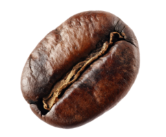 Coffee bean close up on textured surface for culinary uses png