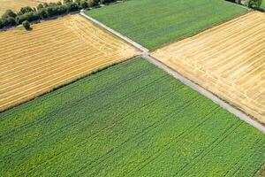 aerial view of intersecting potato and cereal fields. aerial landscape with diverse farm fields and a road photo