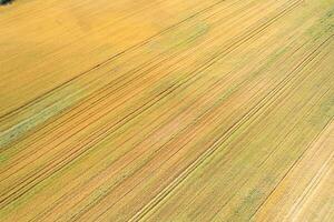 drone top view aerial shot farmland abstract lines and textures from above, agricultural fields in summertime photo
