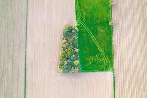 aerial farmland top down view from drone of a rural landscape photography, agricultural concept background photo