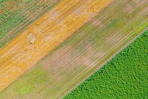 aerial top down drone perspective of paddy fields displaying a rich tapestry of colors and textures. photo