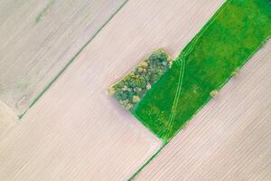 drone shot of farmland with tilled soil, green crops, and trees drone shot of farmland with tilled soil, green crops, and trees photo