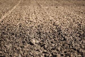 soil texture and pattern in a plowed field detail of rich brown soil in a cultivated field. Agriculture concept background photo
