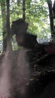 Soldiers digging trenches in a dense forest. A group of Ukrainian soldiers dig trenches in a dense forest as part of field work or military exercises. video