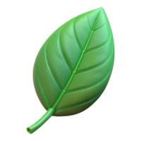 striking notable Single leaf with clean lines and flat color. Minimal, with Scalable Design. png