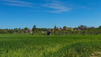 Lush emerald fields whisper secrets of the solstice as rustic cottages nestle beneath an endless cyan sky, invoking pastoral serenity photo