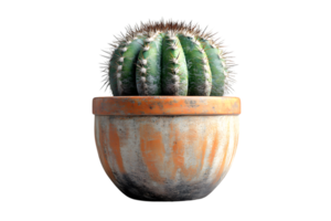 Potted Cactus with Sharp Spines in a Weathered Clay Pot Ideal for Home Decor and Botanical The png