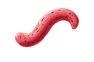 A vibrant glossy red worm with a curved body and speckled texture on a black background png