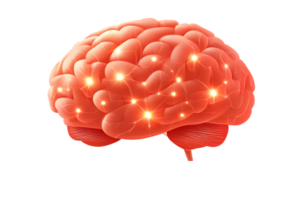 Illuminated Brain with Neural Activity A Detailed and Vibrant Representation of Cognitive Proc png
