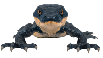 A detailed illustration of a prehistoric creature with sharp claws and textured skin ideal for png