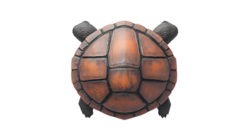 A detailed illustration of a turtles shell showcasing intricate patterns and textures for nat png