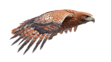 Soaring Bird in Flight with Detailed Feathers and Sharp Talons Perfect for Wildlife Nature a png