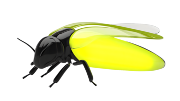 Stylized Insect with Vibrant Yellow and Black Design Perfect for Nature and Artistic Projects png