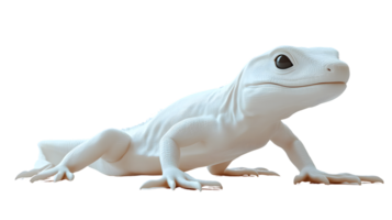 White Reptile Sculpture with Detailed Texture and Realistic Features for Design Projects png