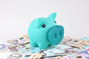 A blue piggy bank and hryvnia on white table photo