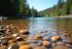 Serene River Scene With Rocks And Forest Background On A Sunny Day photo