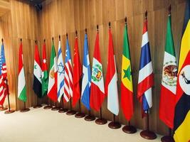 Flags displayed in a governmental building setting photo