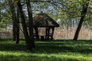 Wooden gazebo with a roof covered with straw for a picnic and rest in the park under spring oaks. Poland photo