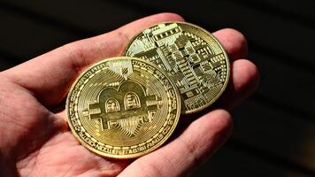 hand holding two golden Bitcoin physical coins, digital investment and blockchain technology photo