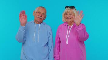 Elderly granny with grandfather smiling friendly at camera, waving hands gesturing hello or goodbye video
