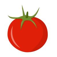 Tomato fresh vegetable isolate on white background healthy diet green food for graphic design, logo, web site, social media, mobile app, ui illustration vector