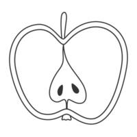 Linear half of apple icon. Hand drawn apple fruit in doodle style with visible seeds vector