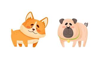 Funny Pug and Corgi Dog with Collar as Four-legged Friend and Domestic Pet Set vector