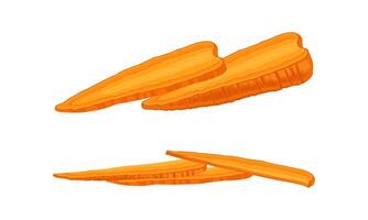 Carrot as Orange Root Vegetable Halved and Sliced Set vector