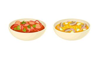 Served on Plate Dish with Vegetable Soup and Tomato Broth with Salmon Slabs Set vector